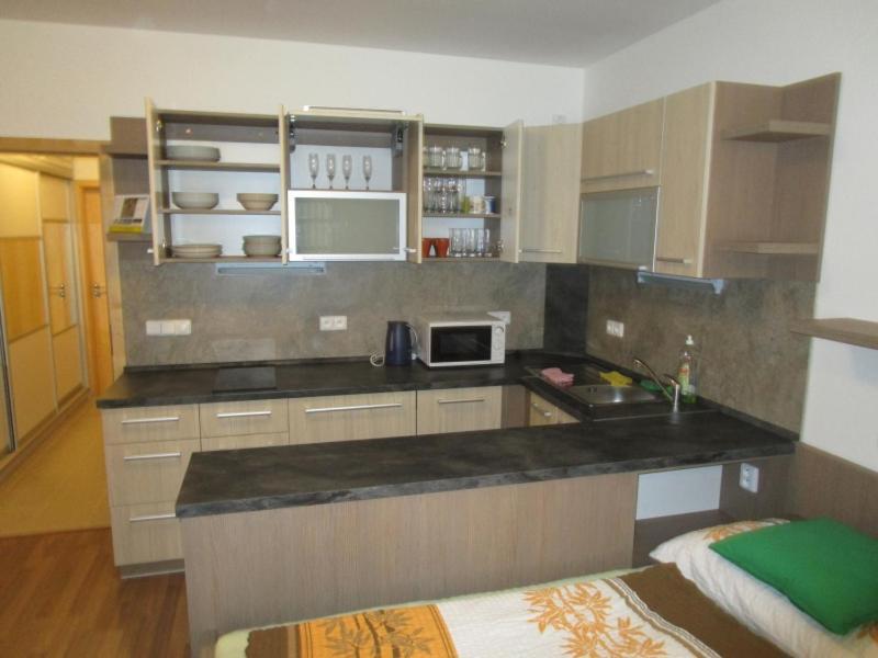 דירות Wüstenei Apartman Ricky V Orlickych Horach מראה חיצוני תמונה